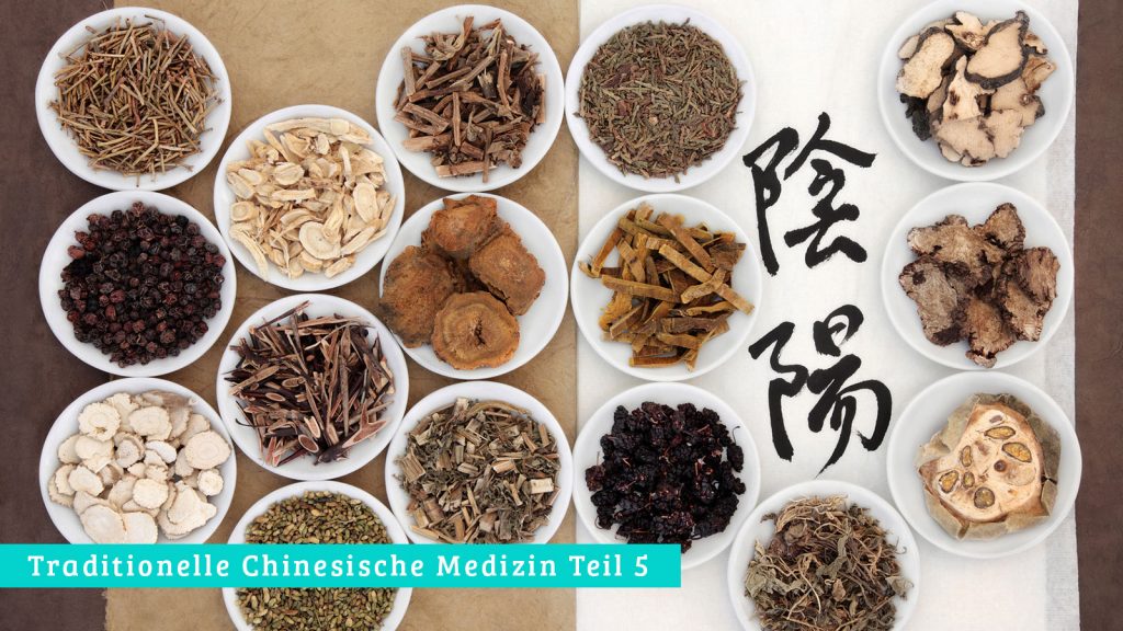 Die 5-Elemente-Ernährung der Traditionellen Chinesischen Medizin | evidero