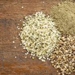 hanfprotein