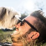 Haustiere machen gluecklich