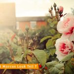 Ein Rosengarten macht glücklich