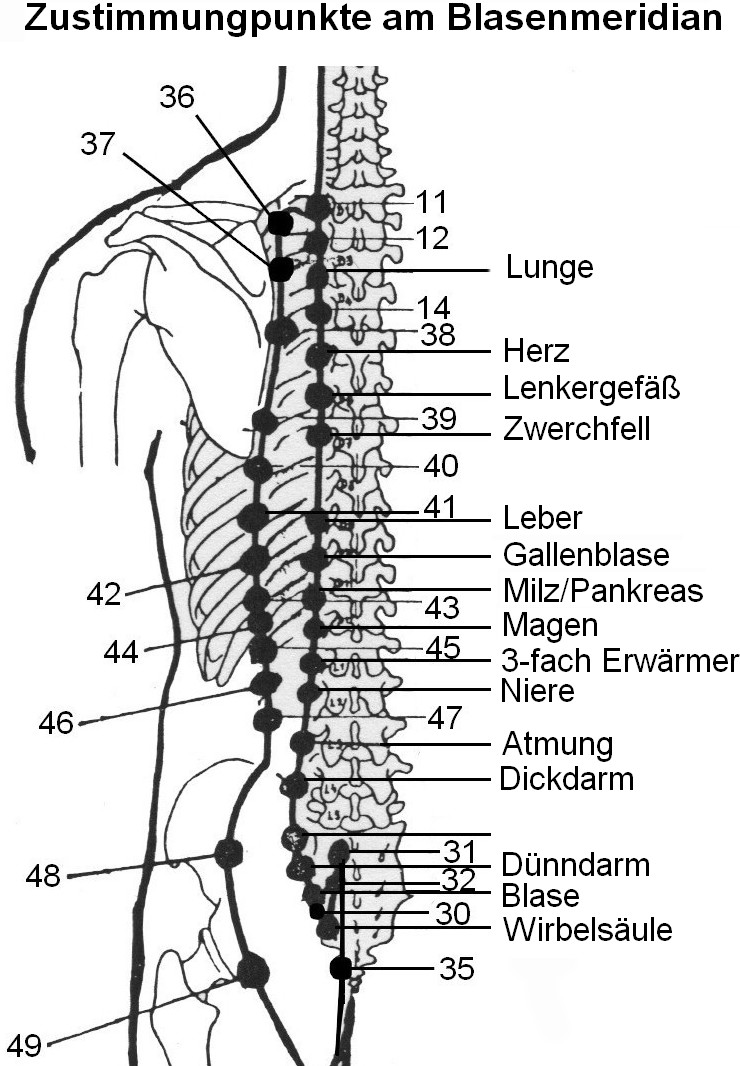 Nackenschmerzen: TCM, Akupunktur & Osteopathie (FDM)