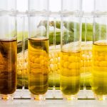 Maissirup ist schädlich