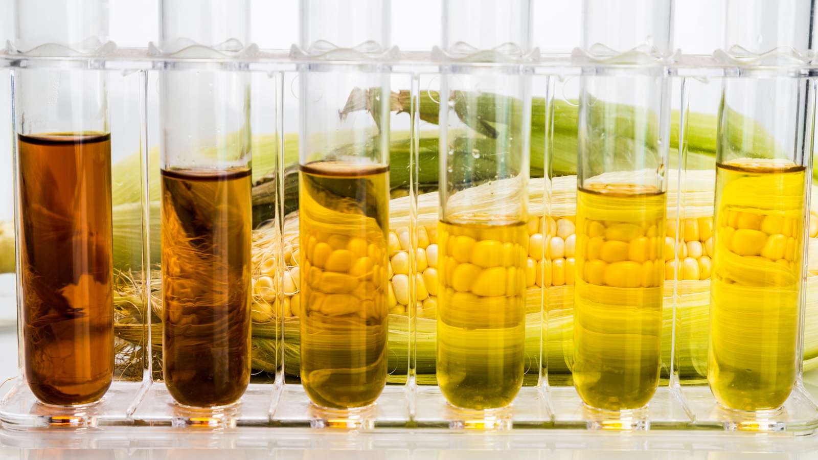 Isoglukose Maissirup Ist Schadlich Fur Die Gesundheit Evidero