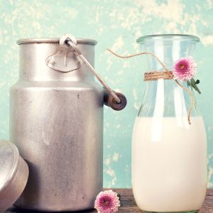 Milchkanne und Milchflasche