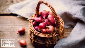 Zwiebeln als natürliche Medizin