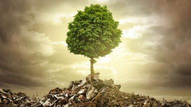 Ein Baum wächst auf einem Müllberg - Wir sollten nachhaltiger leben