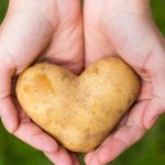 Kartoffeln sind gesundes Gemüse