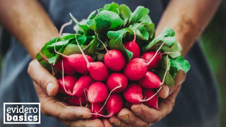 Radieschen Sind Gesundes Gemuse Im Fruhjahr Evidero