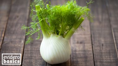 Fenchel für Hals und Magen