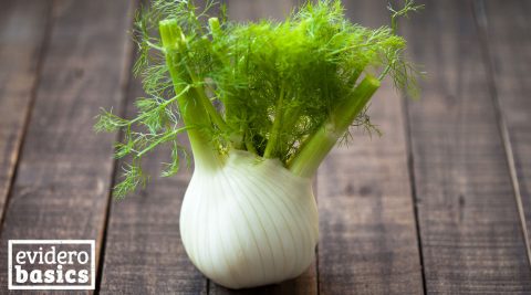 Fenchel für Hals und Magen