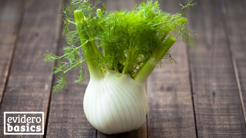 Fenchel für Hals und Magen