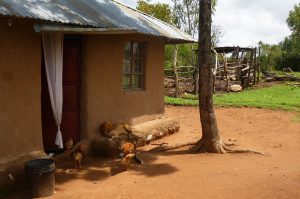 Kenianisches Lehmhaus