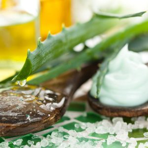 Aloe Vera für die Gesundheit