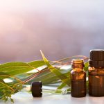 Eukalyptus hilft bei Allergien