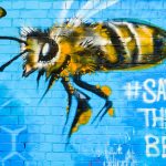 Gefahr für Bienen: Chemikalien