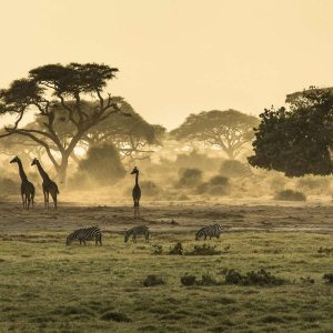 Reisebericht Kenia