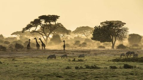 Reisebericht Kenia