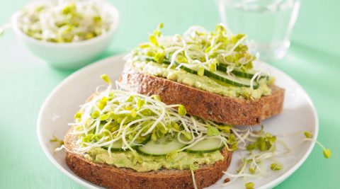 Zuckerfreier Tag mit Avocadobrot: gesunde Rezepte