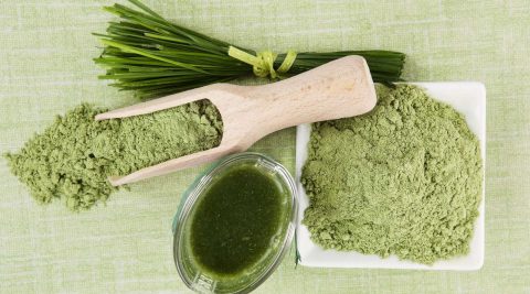 Chlorella Algen kann man essen