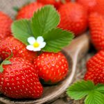 Erdbeeren sind gesundes Sommerobst