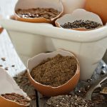 Pflanzliche Ei-Alternativen wie Chia oder Leinsamen
