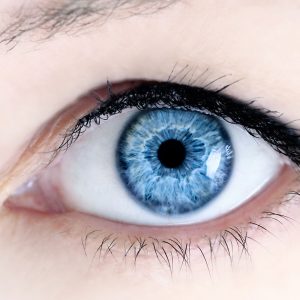 Vitamin A ist gut für die Augen