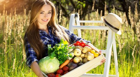 Ist basische Ernährung mit viel Gemüse gesund?