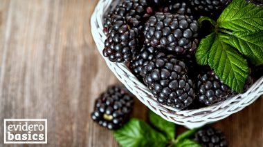 Brombeeren sind sehr gesund