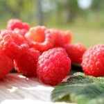 Warum sind Himbeeren gesund?