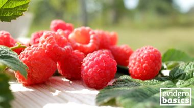 Warum sind Himbeeren gesund?