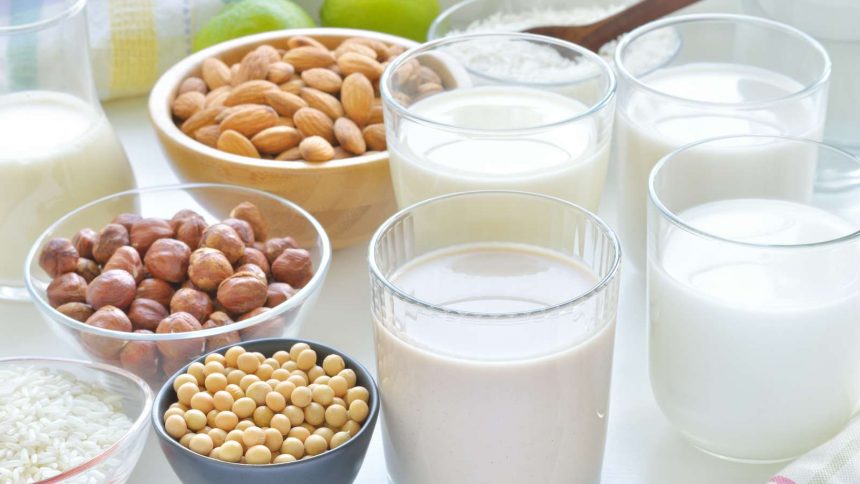 Vegane Milch aus Nüssen oder Reis