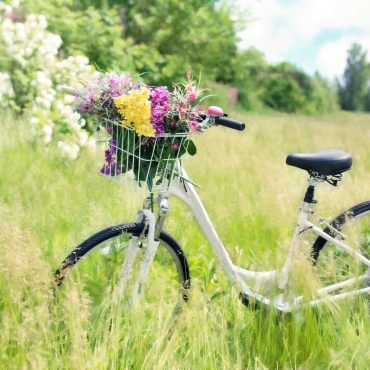 Fahrrad in der Natur: Green living