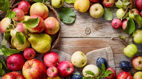 Sortenvielfalt - Alte Apfelsorten