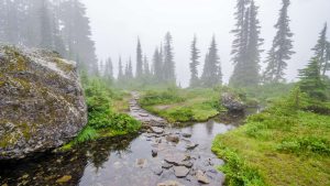 Wunderschön: Wandern im Nebel