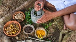 Ayurveda Prof Dr Vasant Lad Evidero - 