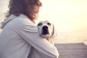 Durch Hunde Empathie lernen