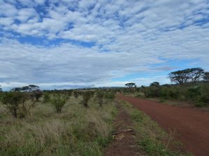 As Friends to Kenya - die Natur Kenias erkunden