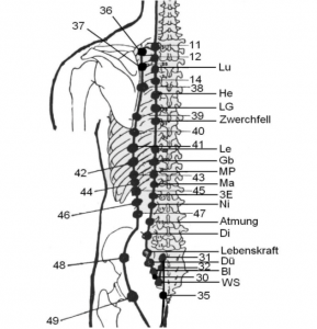 Shu oder Zustimmungspunkte TCM