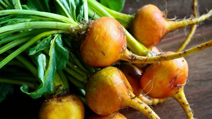 Entdecke die Vielfalt unserer regionalen Gemüsesorten neu | evidero