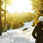 Frau mit Hund im Winterwald mit viel Sonnenlicht