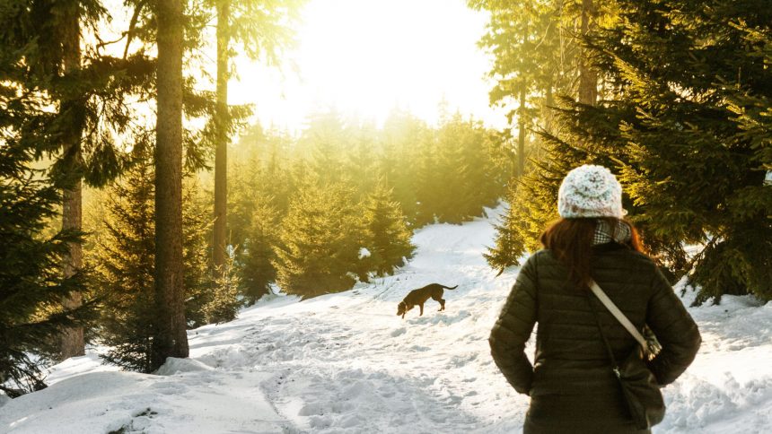 Frau mit Hund im Winterwald mit viel Sonnenlicht
